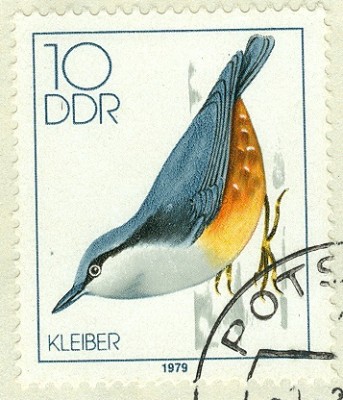 DDR 1979 MiNr. 2389 Kleiber.jpg