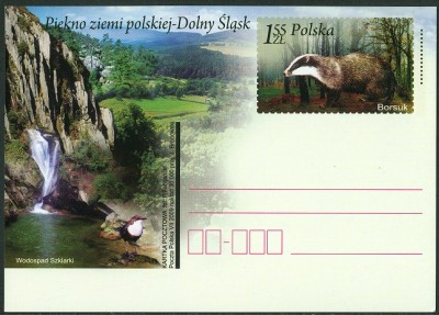 Polen 2009 Dachs 1.55 Sloty -1.jpg