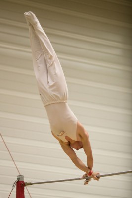 Figure_on_horizontal_bar.jpg