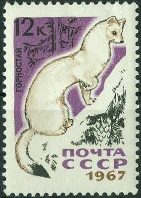 CCCP 1967 Hermelin.jpg