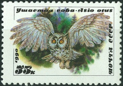 CCCP 1990 MiNr. Waldohreule Asio otus.jpg