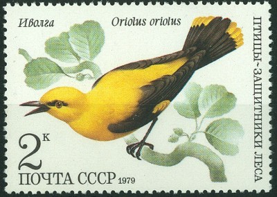 CCCP 1979 MiNr. Pirol.jpg