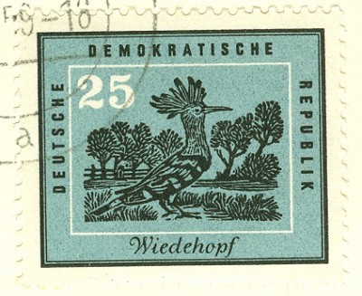 DDR 1959 Wiedehopf MiNr.jpg