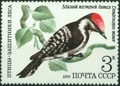 CCCP 1979 MiNr. Kleiner Buntspecjt.jpg (218.24 KiB) 2203-mal betrachtet CCCP 1979 MiNr. Kleiner Buntspecjt.jpg