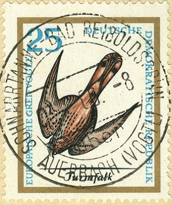 DDR 1965 MiNr. 1150 Turmfalke.jpg