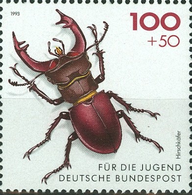 Bund 1993 MiNr. 1668 Hirschkäfer.jpg