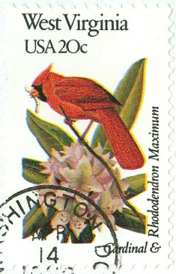 USA 1992 Blumen und Vögel FDC 5-1.jpg