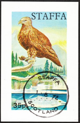 IMG - Kopie.jpg