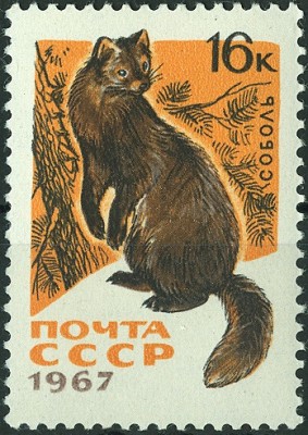 CCCP 1967 Zobel.jpg