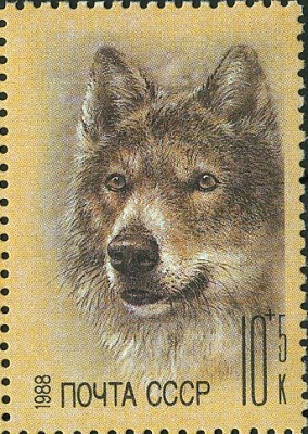 CCCP 1988 Wolf.jpg