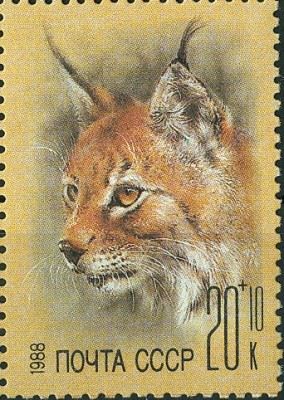 CCCP 1988 Luchs.jpg