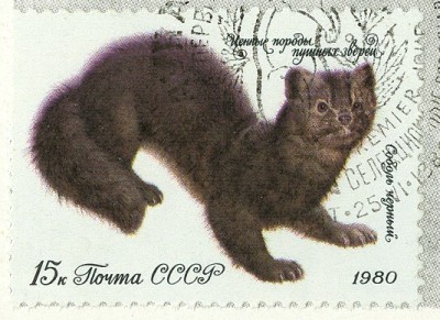 CCCP 1980 Zobel gestempelt.jpg