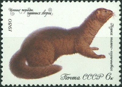 CCCP 1980 Nerz.jpg
