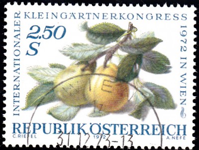 Früchte.jpg
