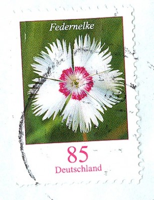 Bund 2015 BlumenMotiov FederNelke EF-1.jpg
