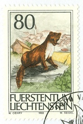 Liechtenstein 1993 Marder.jpg