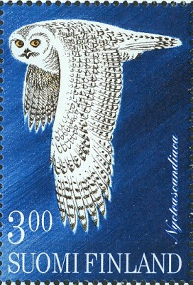 Finland 1998 SchneeEule.jpg