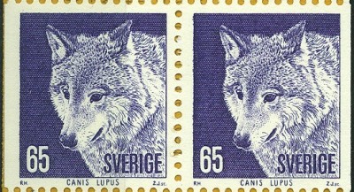 Schweden 19xx - Canis lupus.jpg