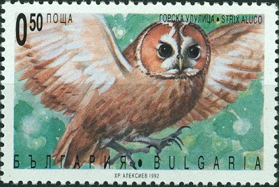 Bulgarien 1992 Strix aluco.jpg