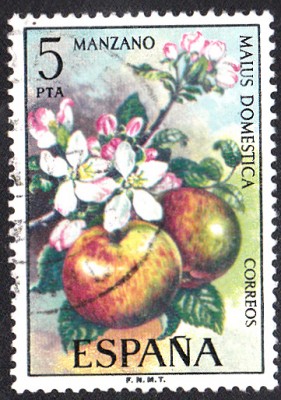 Früchte_0043.jpg