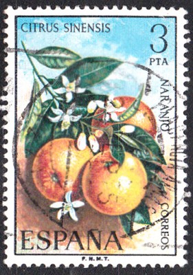 Früchte_0041.jpg