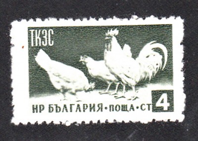 Fleisch_0002.jpg