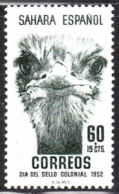 TdB_0060.jpg (133.53 KiB) 2864-mal betrachtet TdB_0060.jpg