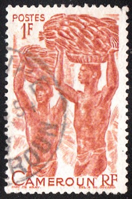 Früchte_0057.jpg