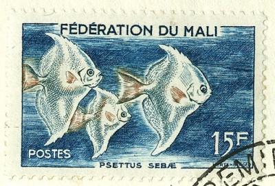 Mali 1960 Fische -1.jpg