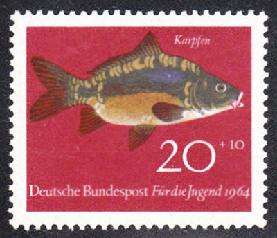 Fisch_0003.jpg