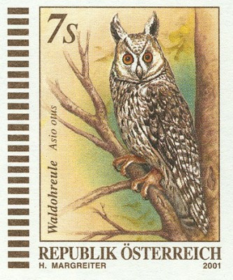 Österreich 2001, Waldohreule Asio otus -1.jpg