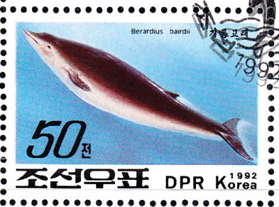 Wal_0002.jpg