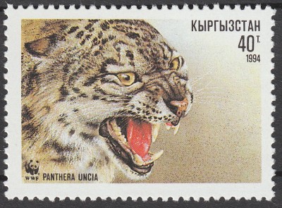 IMG - Kopie.jpg