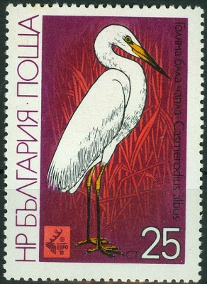 Bulgarien 1981_IntjagdEXPO 1981_ 25 Stotinki-Wert.jpg
