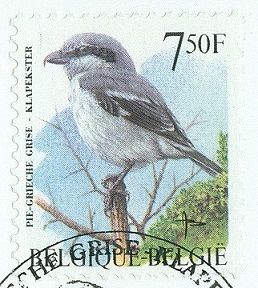 Belgien 1998, MiNr. , Neuntöter-2.jpg