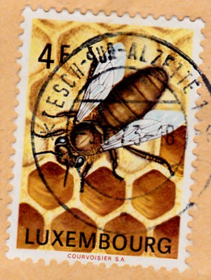 Honig_0003.jpg