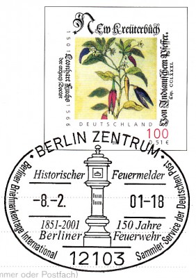 Feuer_0001.jpg (261.13 KiB) 6015-mal betrachtet Feuer_0001.jpg