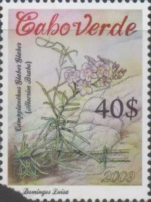 CV 2009 950 - Pflanzen.jpg