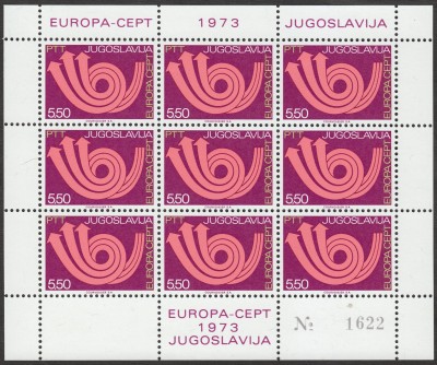 IMG5_0005.jpg