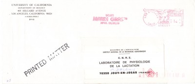 IMG5_0001.jpg