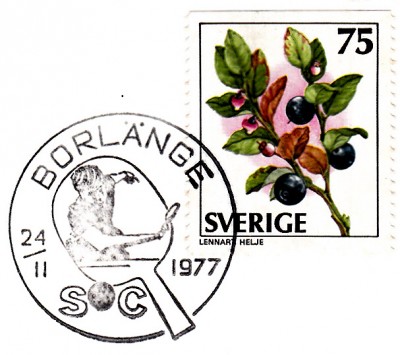 Sport_0403.jpg
