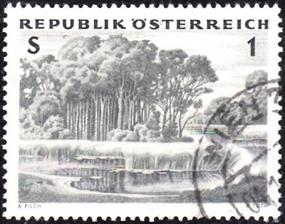 Bäume_0009.jpg