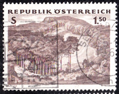 Bäume_0008.jpg