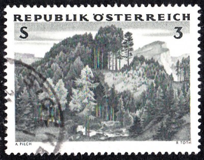 Bäume_0007.jpg