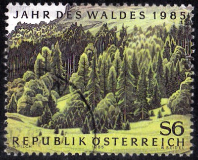 Bäume_0006.jpg
