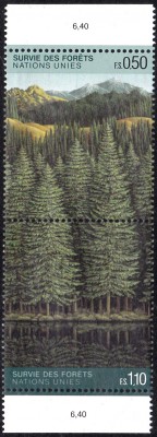 Bäume_0010.jpg