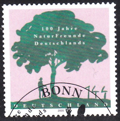 Bäume_0017.jpg