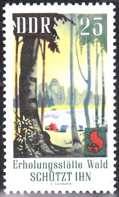 Bäume_0022.jpg