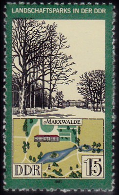 Bäume_0036.jpg