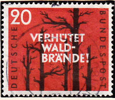 Bäume_0072.jpg